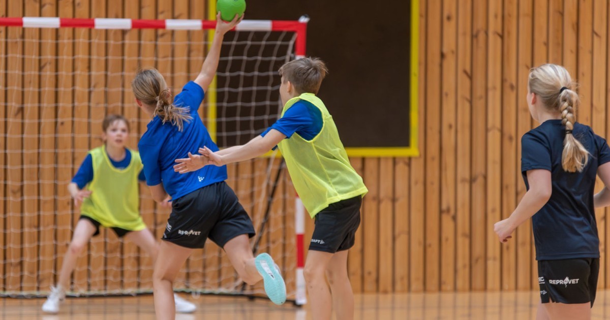 Käsipalloilun Aktia School Tour
