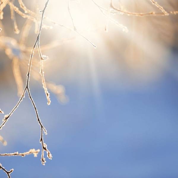 Toimiston aukiolo- ja henkilökunnan työskentelyajat talvilomalla