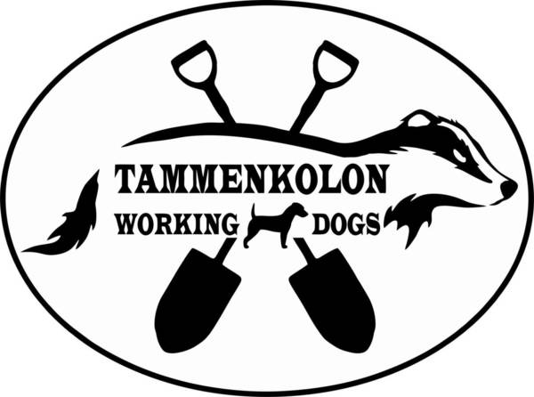 Tammenkolon trimmaamo