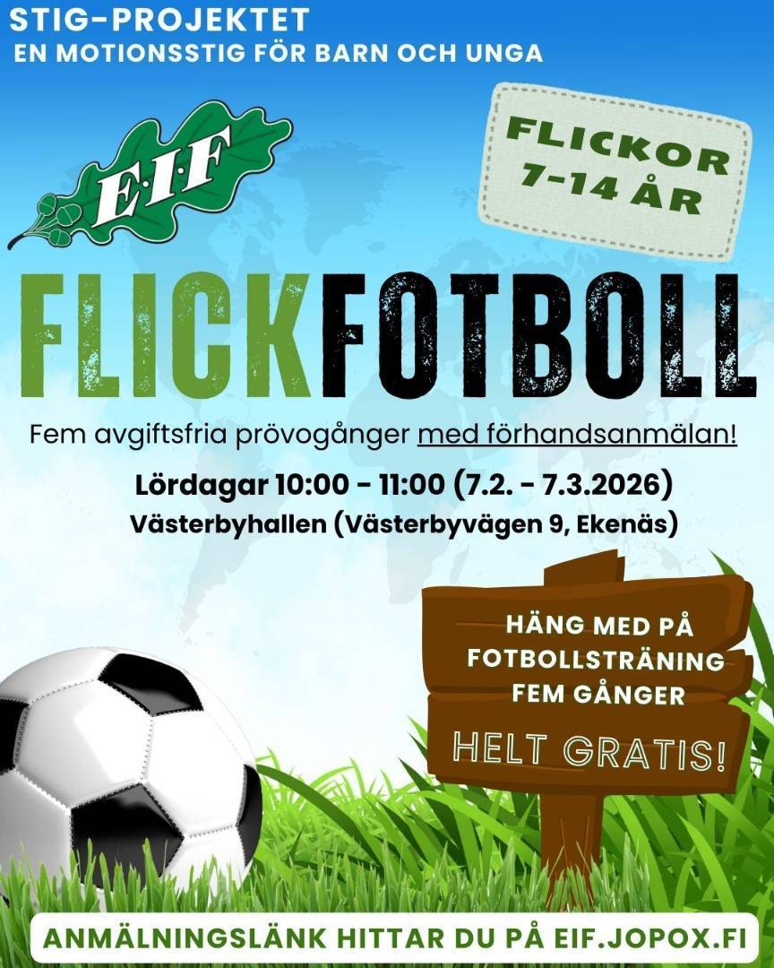 STIG PROJEKTET - FLICKFOTBOLL