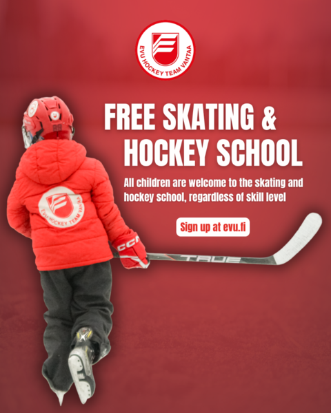 Free skating and hockey school