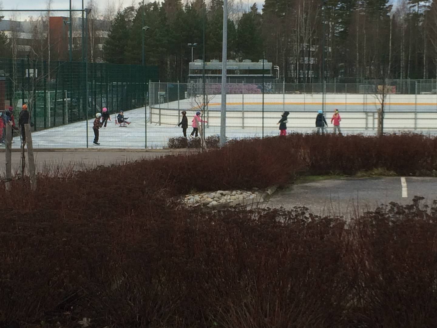 Martinlaakson tekojää on avattu