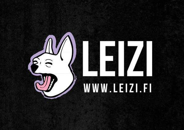 Leizi