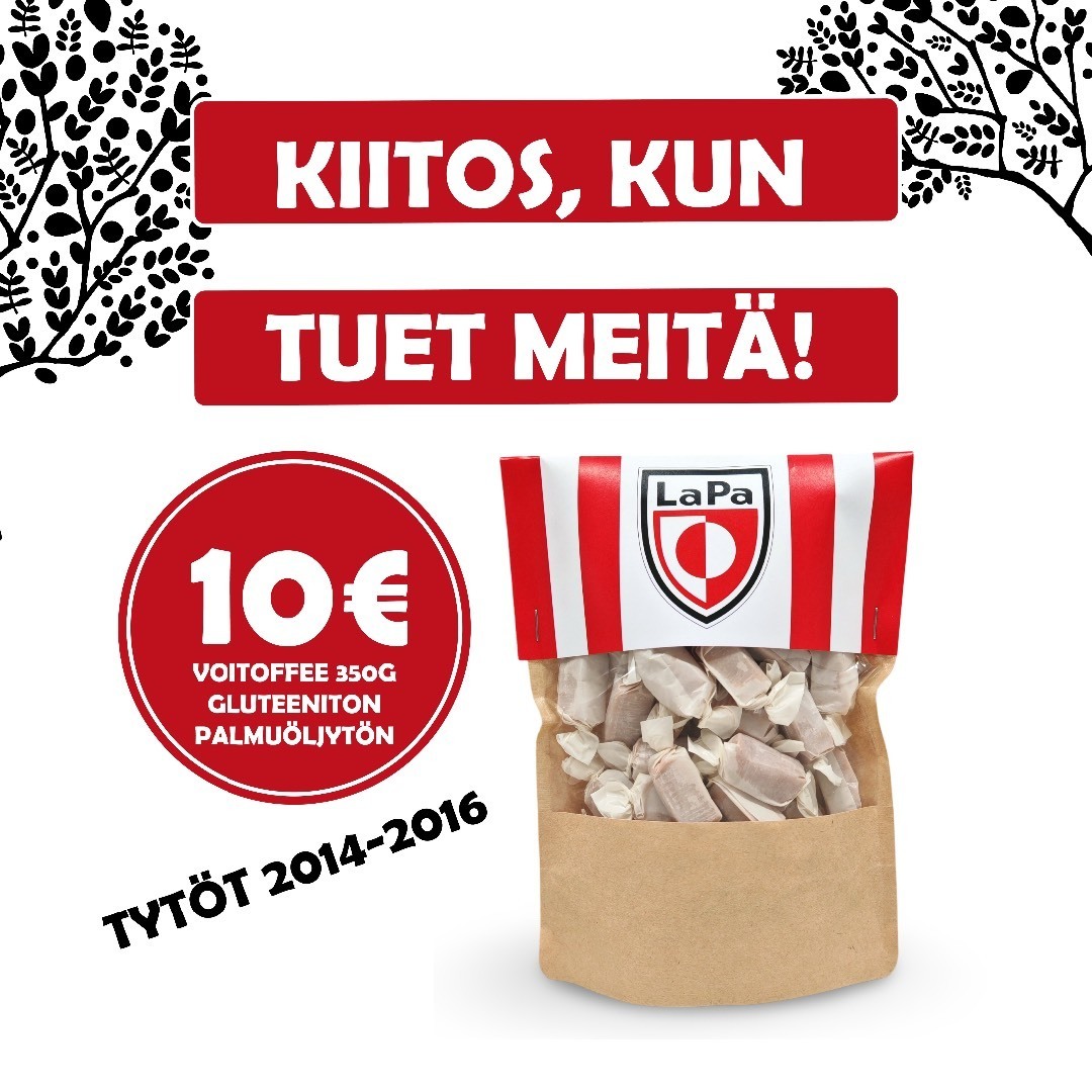 Varainhankinta