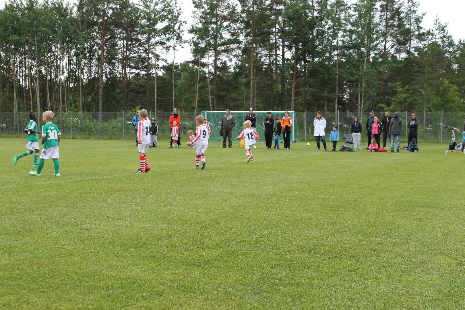 Summer Cup 11.6.2016 