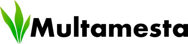 Multamesta