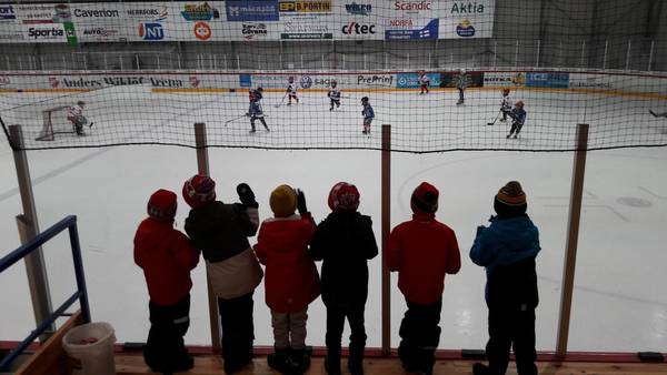 Jakobstadsnejdens ishockeyfond / Pietarsaaren seudun jääkiekkorahasto