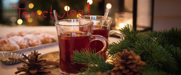 Yhdistyksen pikkujoulu Ravintola Raatihuoneella 13.12.2025 klo 14