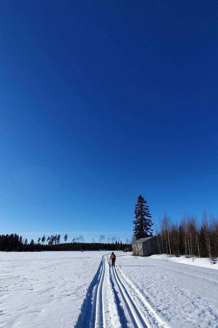 Skidglädje till alla Skidentusiaster