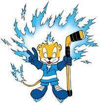Leijonakiekkokoulu alkaa!