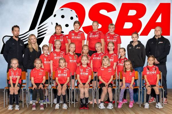 Tervetuloa U10 2017-2018 syntyneiden tyttösäbä sivuille