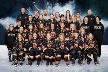 TERVETULOA HAUKAT R-E SIVUILLE!