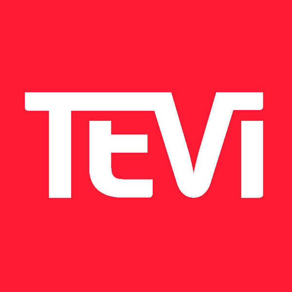 Tevi Systems Oy