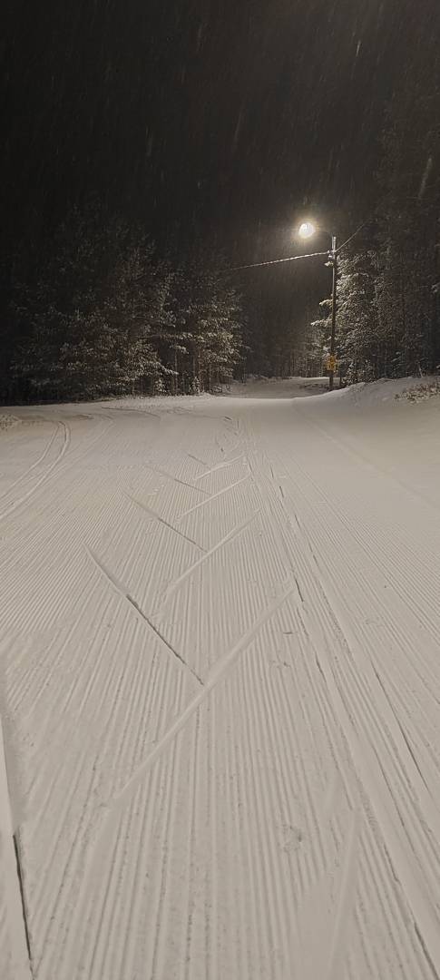 Voitelukoulutus 12.1.2026 klo 18.00