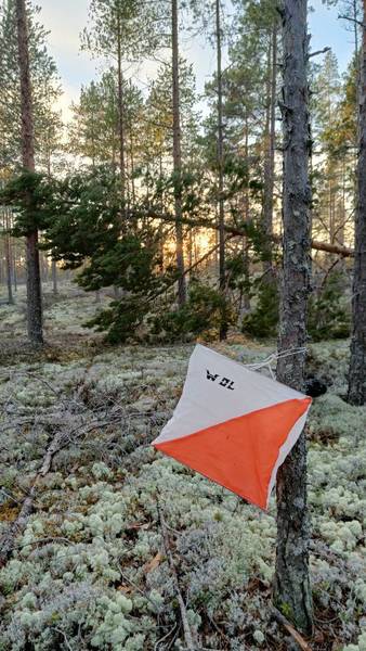 Omatoimirastit 9.-17.4.26