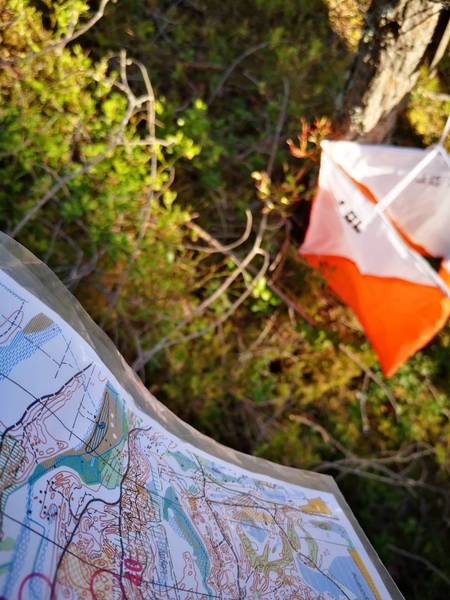 Torstairastit 28.5. Kuivatjärventie