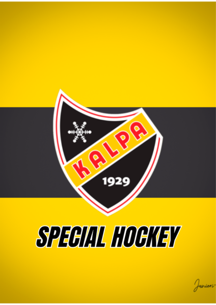 Special Hockey