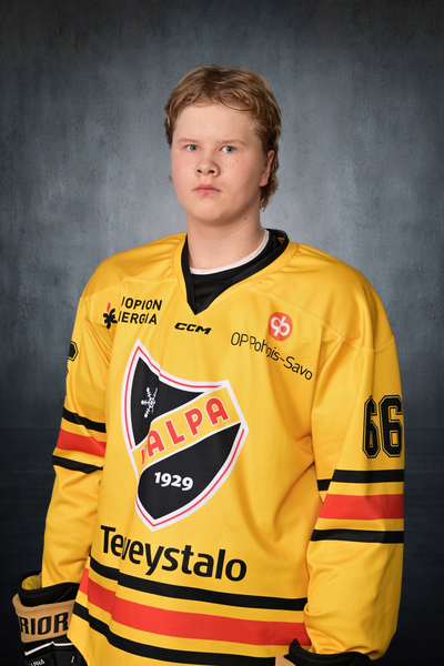 Hara Veikka