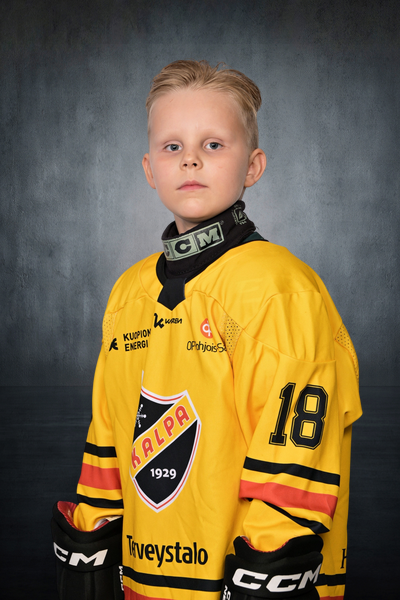 Ruotanen Mikael