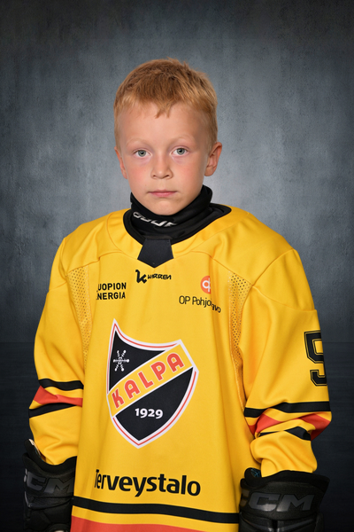 Niemelä Otso
