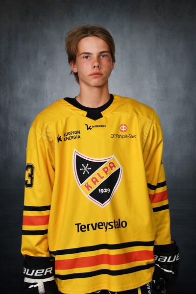 Ylhäinen Aapo