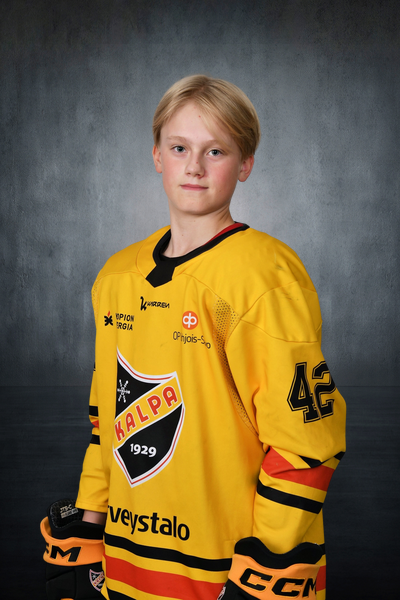 Niemi Alvar