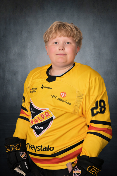 Rissanen Sisu