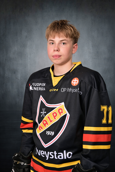 Vornanen Viljami