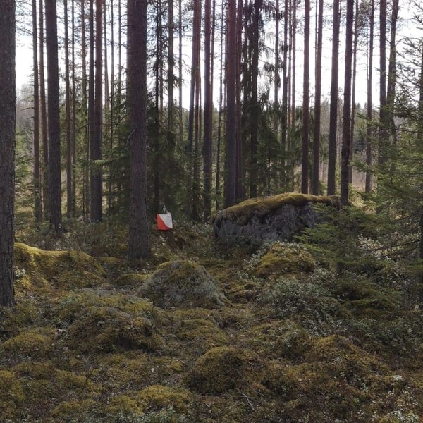 Lestijoki-rastit 13.9. klo 17-19 Kitinvaparin maastossa, omatoimirastit su 17.9. saakka