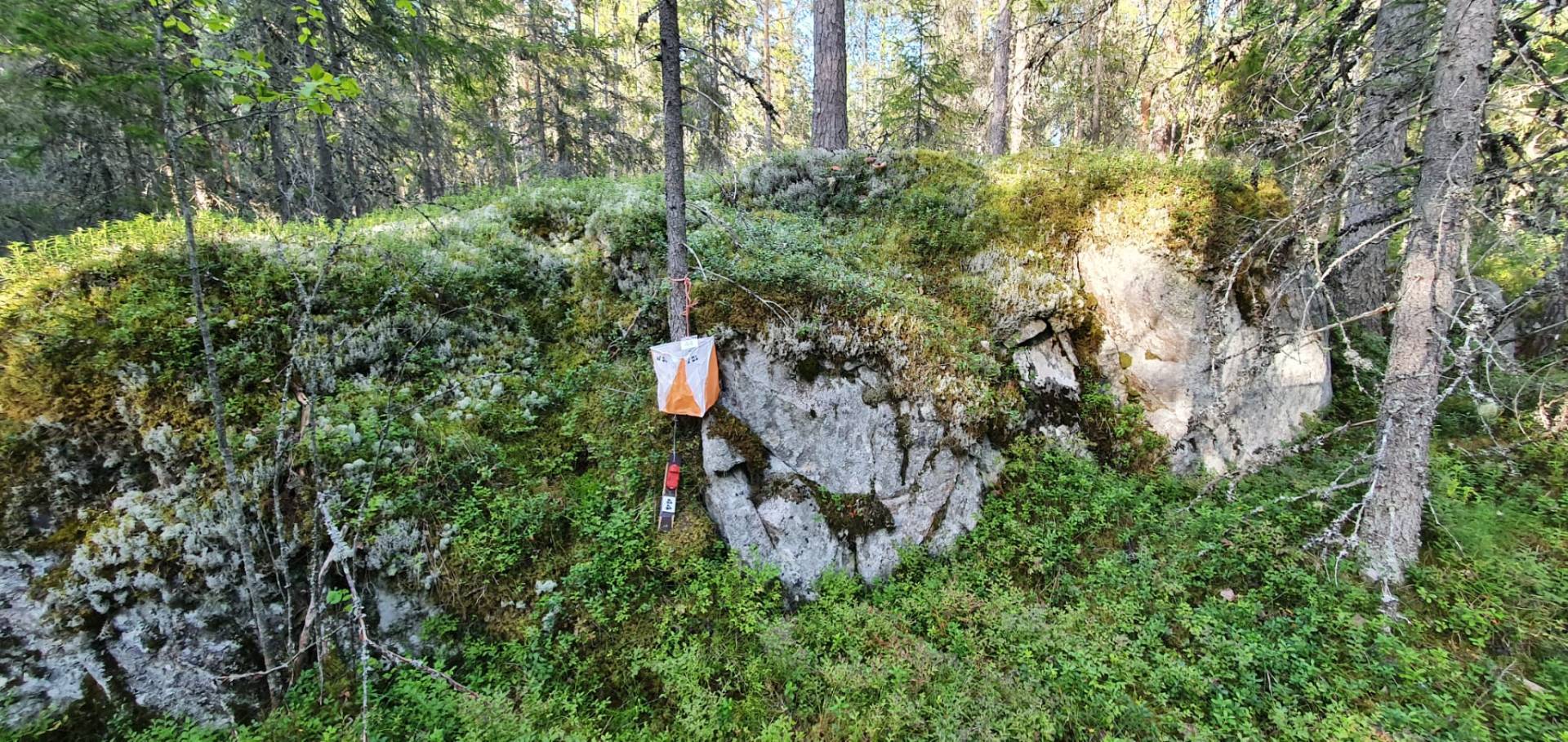 Lestijoki-rastit Silmäjärvi 30.7. klo 17-19 ajanotolla, omatoimirastit su 3.8. saakka