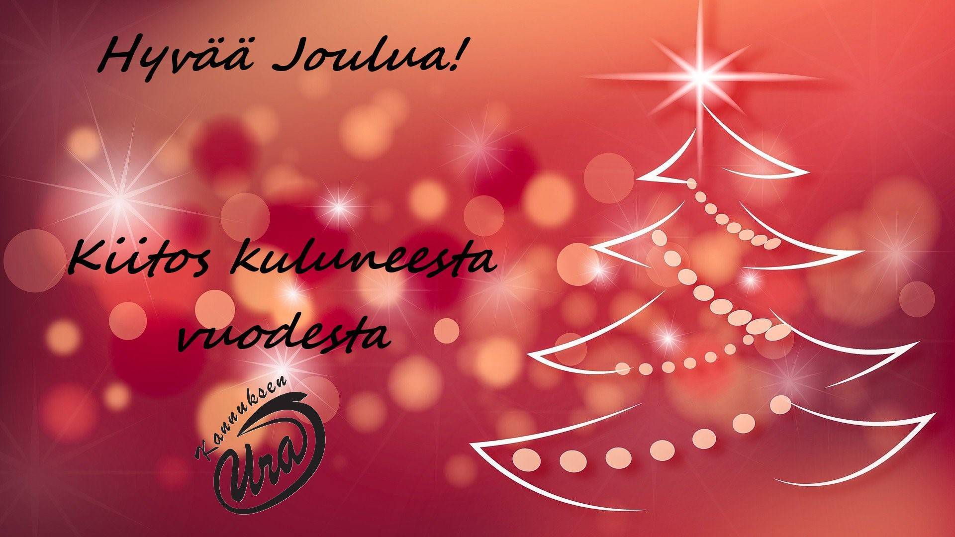 Hyvää Joulua!