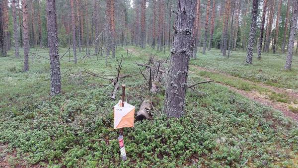 Lestijoki-rastit Matalakangas 20.8. klo 17-19 ajanotolla, omatoimirastit su 24.8. saakka