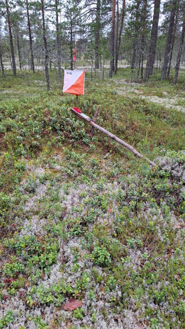 Keski-Pohjanmaan avoin AM-partio suunnistuskilpailu 24.6.2026 Viirrekankaalla