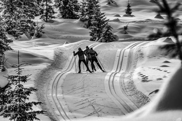 VOITELU ILTA KAUSTISEN URHEILUTALOLLA 1.12.2025