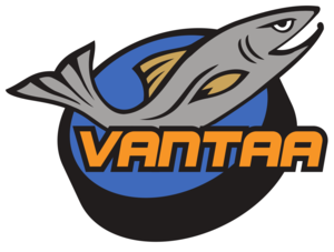 Kiekko-Vantaa Juniorit ry: n jäsenkokouksen päätökset