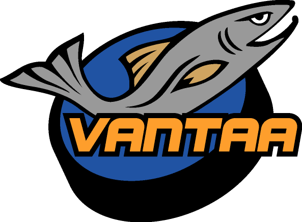 Yhdistyksen Kiekko-Vantaan juniorit ry ylimääräinen kokous