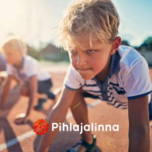 Pihlajalinna yhteistyö