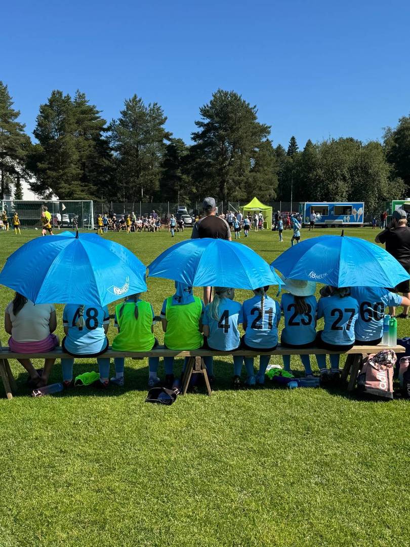 Väliaikaistieto/Mellanrapport