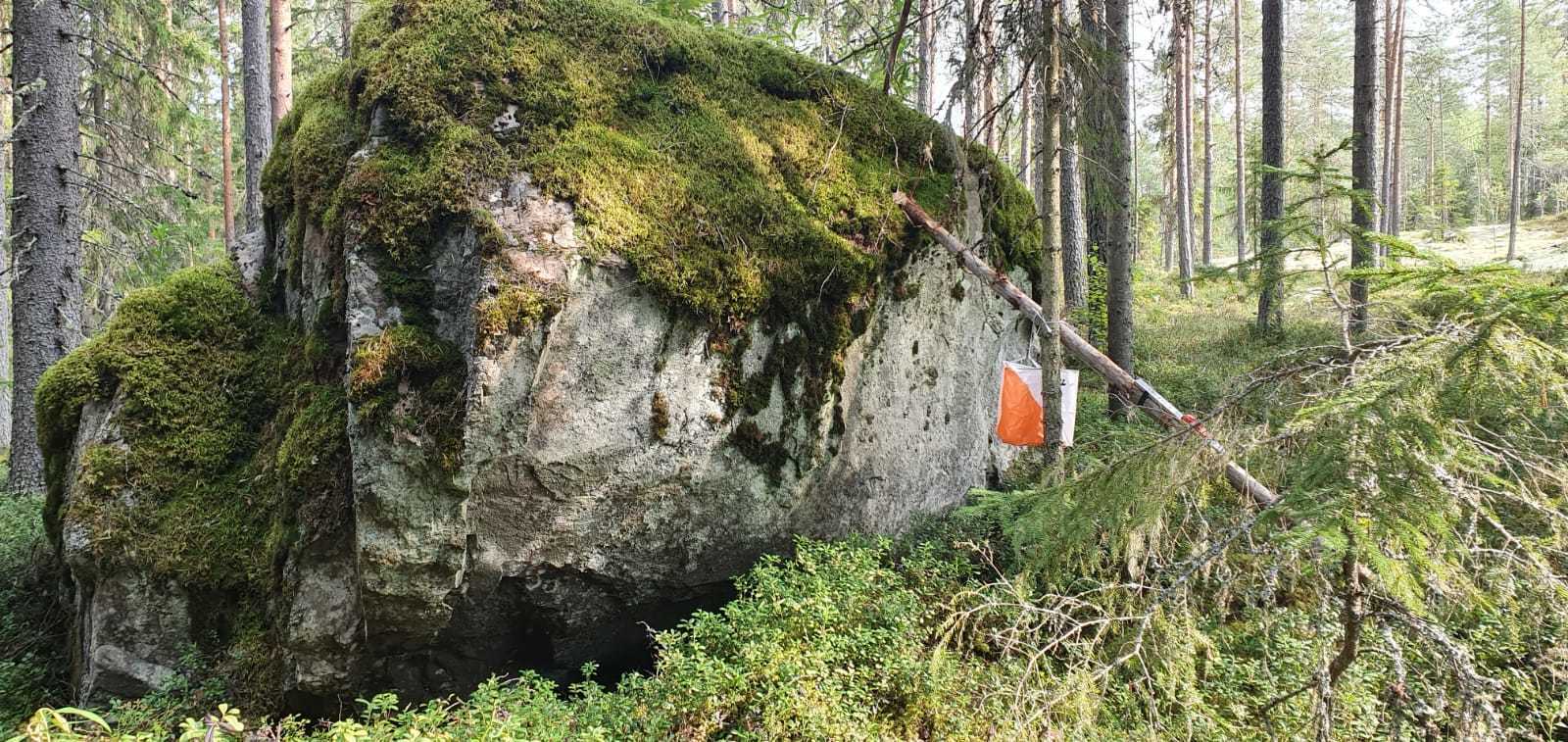 Syysrastit Santahaassa 7.11.