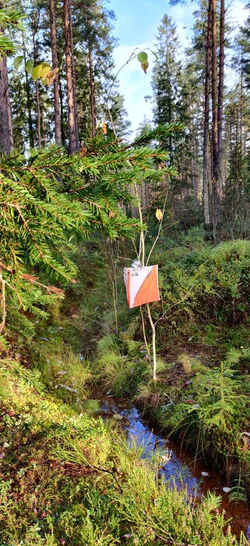 Syysrastit la 31.10. ja omatoimirastit