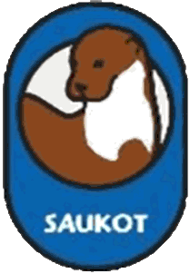 Tervetuloa Saukkojen sivustolle!