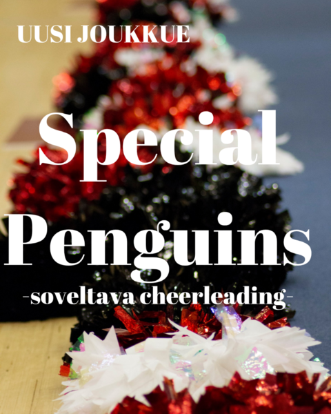 Soveltavan cheerleadingin ryhmä hakee harrastajia