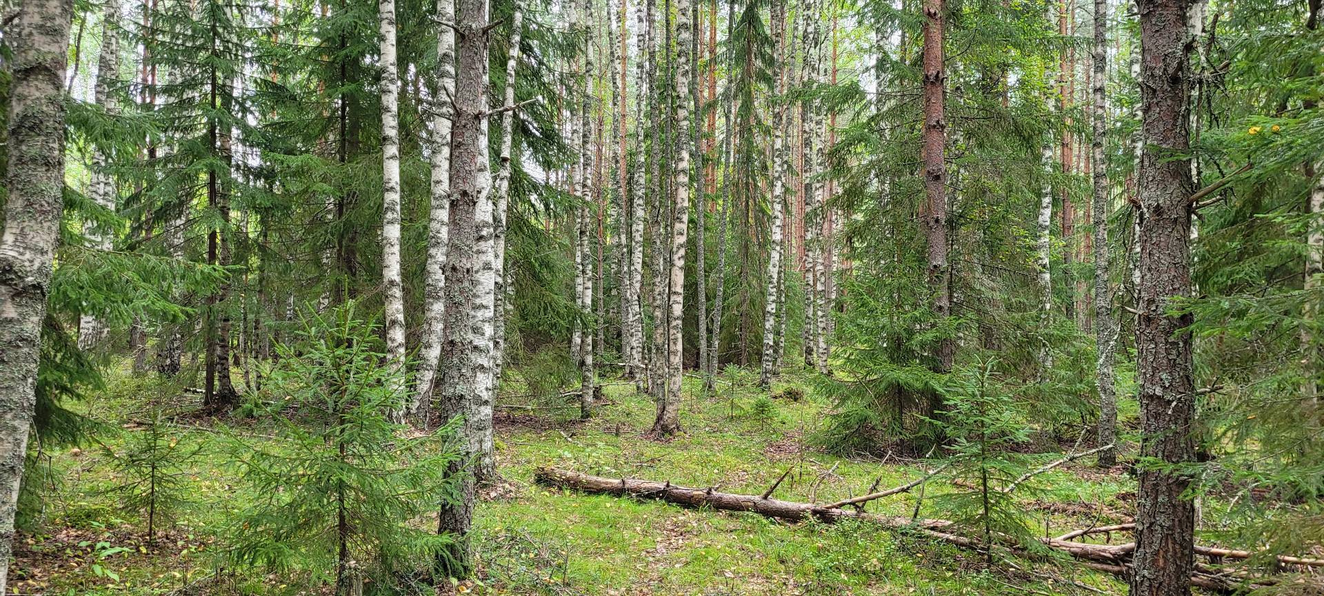 Seuran kevätkokous 27.4. klo 18.30