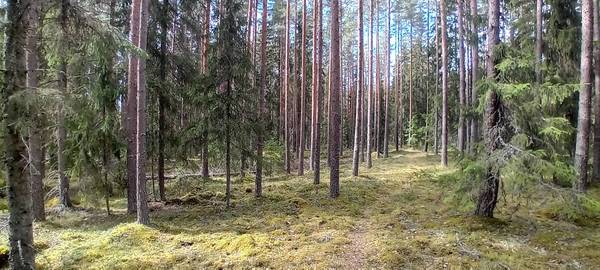 Sata-Häme-rastit alkavat ke 15.4. Lintuharjussa