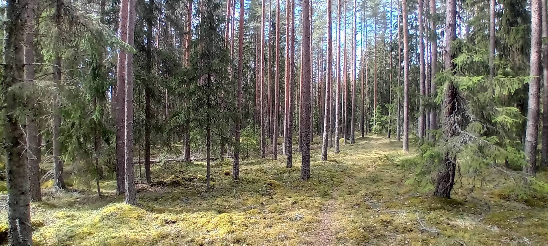 Sata-Häme-rastit alkavat ke 15.4. Lintuharjussa