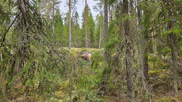 Sata-Häme-rastien palautekysely 2026