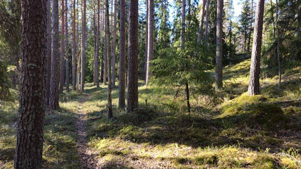 KyRan ja IkNV:n seuranmestaruuskilpailu 12.8.2026