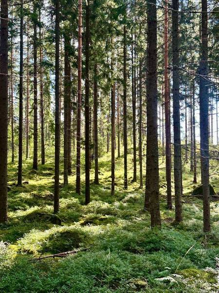  🏃‍♂️🧭Kevät on täällä ja iltarastit alkaa! 🧭🏃‍♀️