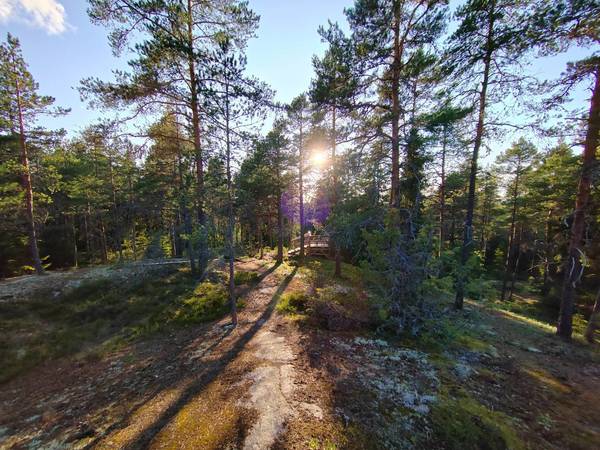 Lujan mestaruudet ratkotaan 15.5 Porttikalliolla