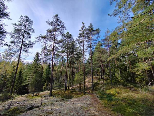 kuntorastit keskiviikkona 9.7 Ratsastuskeskuksella klo 17:00-19:00, jatkuvat omatoimisina 20.7 asti.